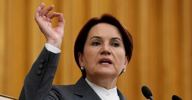 İYİ Parti konvoyunun çarptığı köpek İYİ Parti Genel Başkanı Meral Akşener'in elini ısırdı
