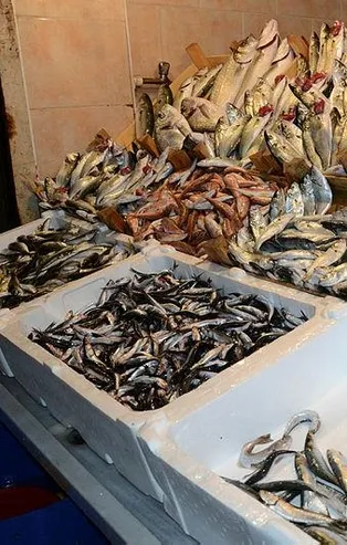 Balık halde 1 pazarda 3 lira