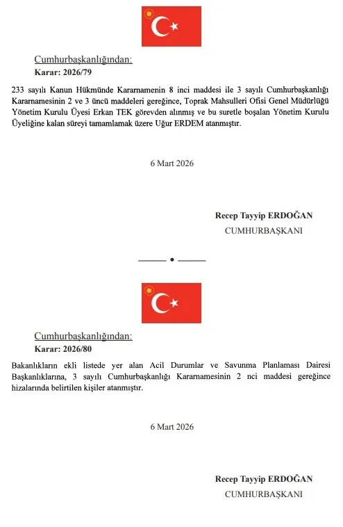 Başkan Recep Tayyip Erdoğan imzaladı: Atama kararları Resmi Gazete'de-9