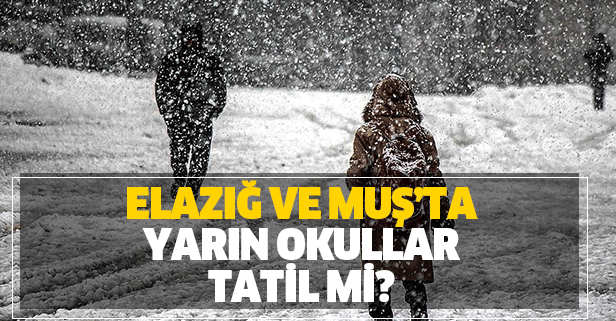 Elazığ ve Muş’ta yarın okullar tatil mi? 6 Aralık Cuma kar tatili için MEB açıklaması yapıldı mı?