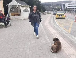 Üniversite öğrencisine kampüste köpek saldırısı!