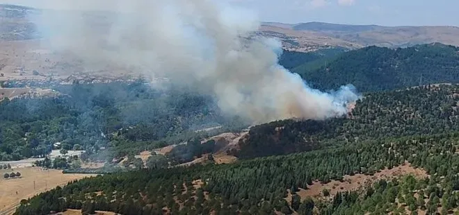 Balıkesir'de orman yangını! Ekipler bölgede-3