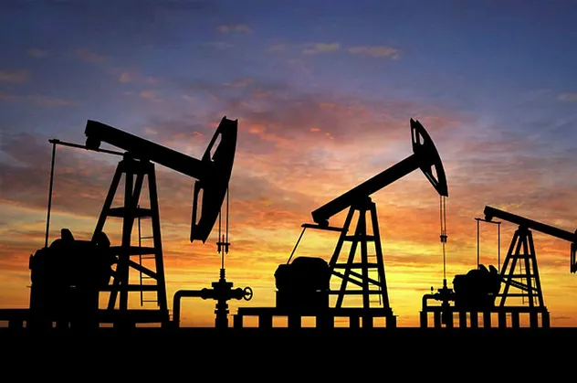 Siirt'te 11 milyon varil petrol bulundu!