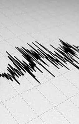 Muğla'da korkutan deprem!