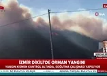 İzmir'de orman yangını!