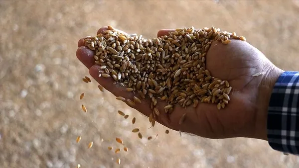 iklim-degisikligi-tohumun-onemini-artiriyor-tarimsal-uretimin-en-onemli-ve-stratejik-ogesi-ise-tohumdur-1637937021915.jpg İklim değişikliği tohumun önemini artırıyor: Tarımsal üretimin en önemli ve stratejik ögesi tohumdur-2