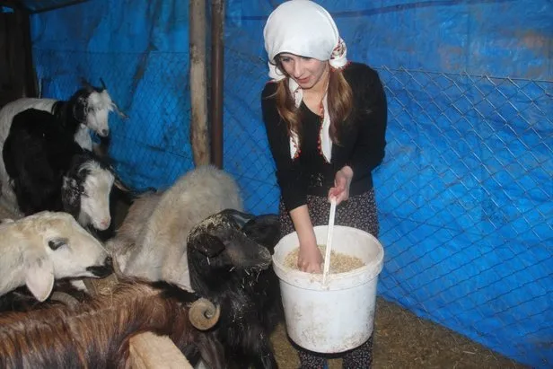 Elazığ'ın tek kadın ve en genç muhtarı Seda Gündoğan oldu-3