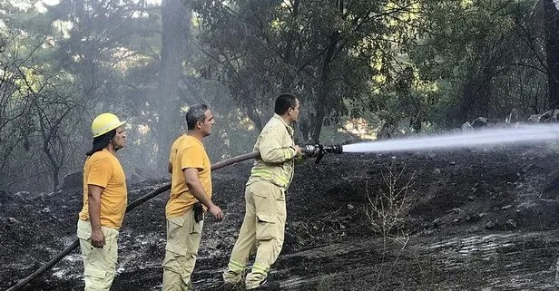 Muğla'daki orman yangınlarıyla ilgili açıklama