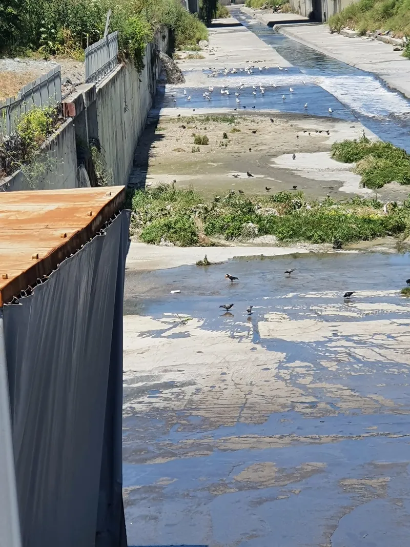 iskiden-bir-skandal-daha-atik-sulari-ambarlidan-denize-akittilar-1747829675979.jpeg Çevre, Şehircilik ve İklim Değişikliği Bakanlığı çevreyi kirleten İSKİ'ye ceza kesti