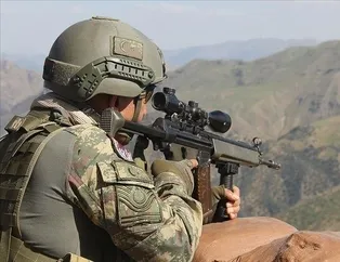 Listeye bir çizik daha! Gri terörist artık yok