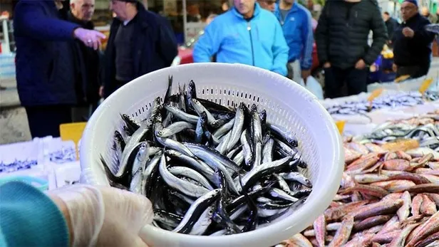 10-15 senedir böylesi görülmedi! Fiyatı yarı yarıya düştü-1