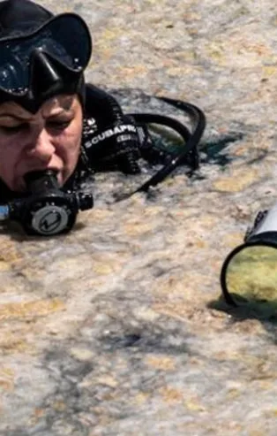 Son dakika: Marmara aylardır can çekişiyor! İşte müsilajın sebebi! O raporda ortaya çıktı!