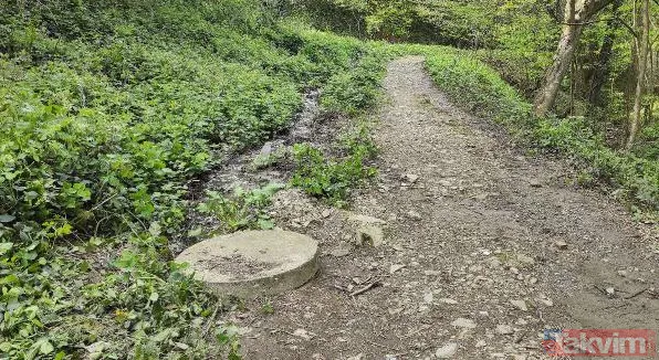 Sarıyer'deki ormanda korkunç ölüm! Taşkın Eyibil'in cansız bedeni kuyuda bulundu - 8
