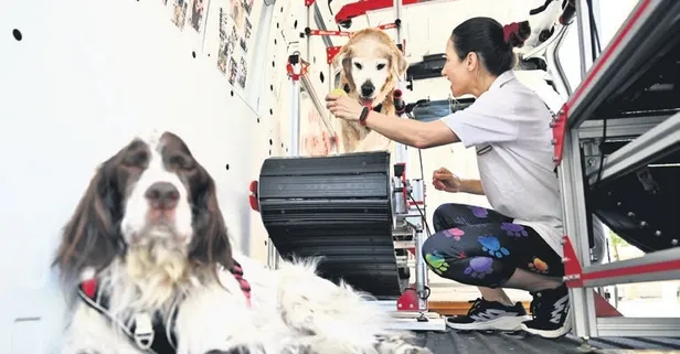 Vefat eden köpeği Şeker'in anısına diğer köpeklerin sağlığına destek oluyor!