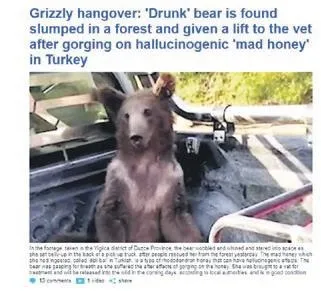 kilolarca-bal-yiyip-fenalasan-balkiz-fenomen-oldu-abd-ingiltere-ve-yunan-basininin-mansetlerine-yerlesti-1660347287509.jpeg Kilolarca bal yiyip fenalaşan Balkız fenomen oldu! ABD, İngiltere ve Yunan basınının manşetlerine yerleşti-2