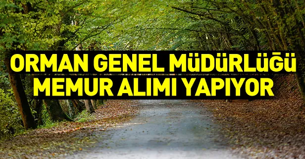 Orman Genel Müdürlüğü personel alımı yapacak! Orman Mühendisi ve Orman Korkuma Memuru nasıl olunur?