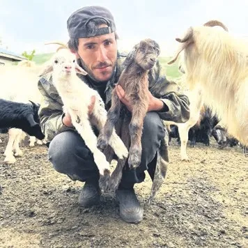 Destekler çok önemli