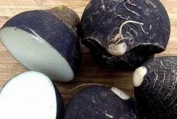 Öksürüğe çare siyah turp