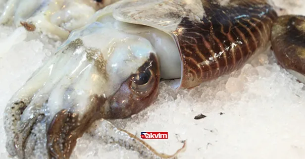 Sübye nedir, nasıl yapılır? 10 Eylül Masterchef Türkiye Sübye tarifi! Ayvalık Cunda usulü beğendili sübye nasıl yapılır?