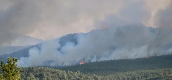 eskisehirde-korkutan-orman-yangini-ekiplerin-havadan-ve-karadan-mudahalesi-suruyor-kara-yolu-trafige-kapatildi-1692807371414.jpeg Eskişehir'de korkutan orman yangını! Ekiplerin havadan ve karadan müdahalesi sürüyor: Çiftçi gözaltına alındı-8