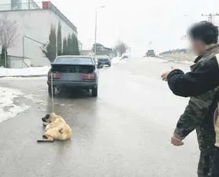 Bunu yapan insan olamaz