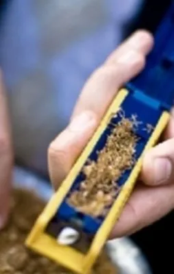 Yaprak sigara kağıdına düzenleme