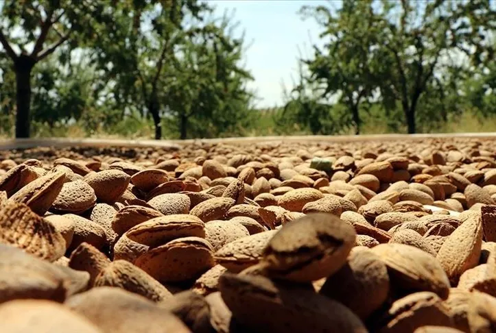 Bademle cildini koru