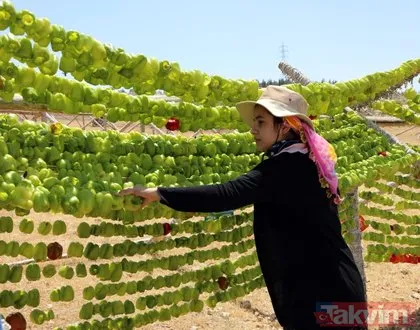Gaziantep’te kış yemekleri için sebzeler kurutulmaya başlandı