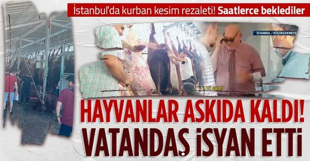 İstanbul’da kurbanlıklar askıda kaldı! Vatandaş isyan etti: Kendi etlerimizi kendimiz doğruyoruz