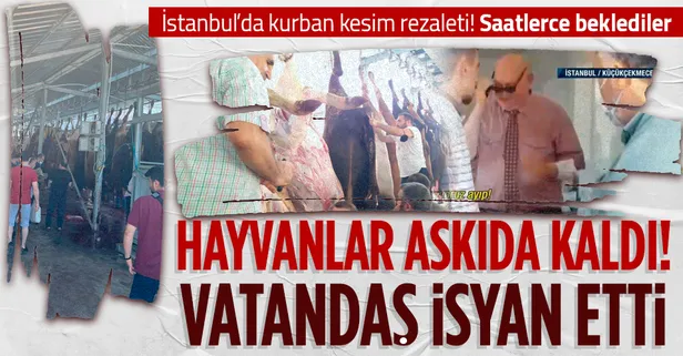 İstanbul'da kurbanlıklar askıda kaldı! Vatandaş isyan etti: Kendi etlerimizi kendimiz doğruyoruz