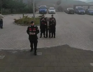 Saklandığı ormanda enselendi