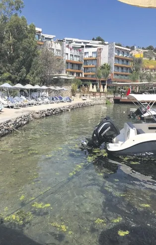 Küçükbük Koyu pislik içinde kaldı!