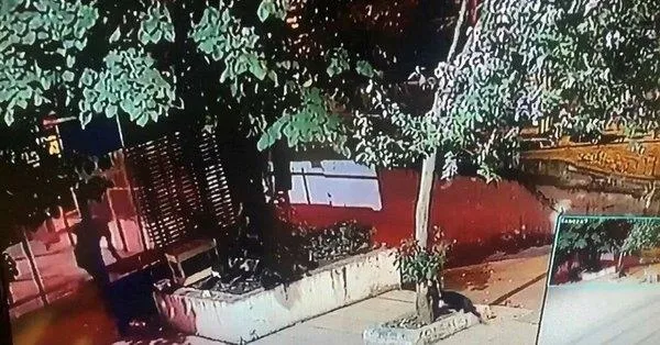 uskudarda-kediyi-tekmeleyerek-olduren-sahis-tutuklandi-1628372310624.jpeg Üsküdar'da kediyi tekmeleyerek öldüren şahıs tutuklandı!-4