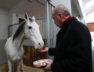 Başkan Erdoğan Ankara Geleneksel Sporlar Tesisi'nde incelemelerde bulundu