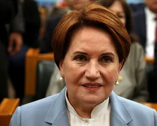 Bahçelinin Dönün çağrısı sonrası İYİ Partide ilk istifa! Evime, ocağıma dönüyorum