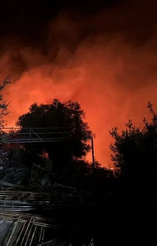 Bodrum'da makilik alanda yangın!
