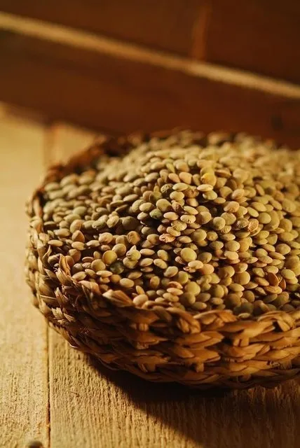 Zayıflatan 27 süper gıda listesi! - 25