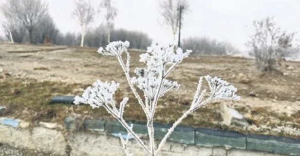 Türkiye’de kış erken geldi | Ardahan eksi 13.4 dereceyle dondu