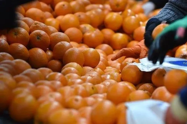 SON DAKİKA: Tarlada 2 markette 9 lira! Gıdadaki fahiş fiyat hilesine karşı önemli adım
