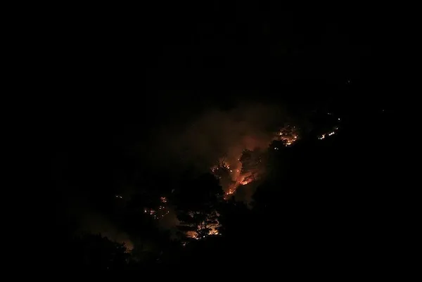 Pozantı'daki orman yangını gece de devam etti-2