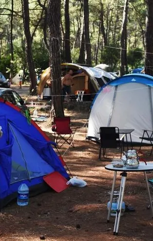 Kampseverlere rehber