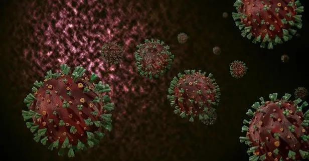 Korkutan gelişme! ABD’de koronavirüsün daha bulaşıcı ve tehlikeli türü tespit edildi