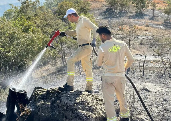 siirtte-cikan-orman-yangini-kontrol-altina-alindi-1692781061320.jpg Siirt'te çıkan orman yangını kontrol altına alındı-3