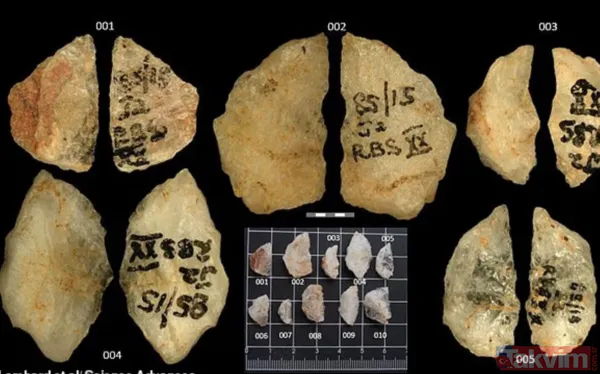 Dünyanın bilinen en eski zehirli oku keşfedildi - 3