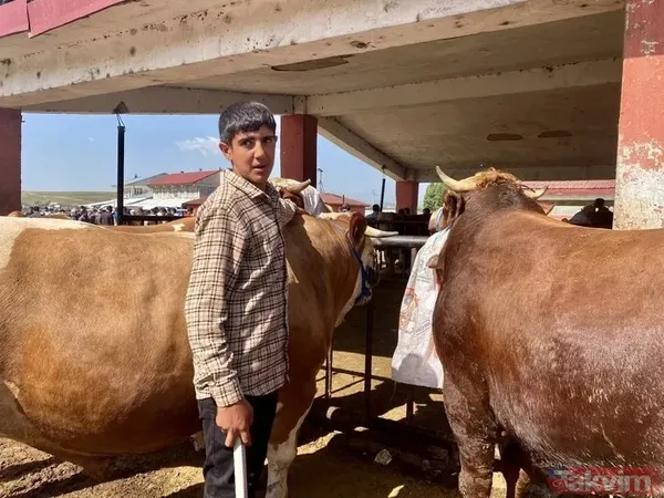 Kurban nasıl kesilir? Kurban için vekalet nasıl verilir? Kurban ibadetinde nelere dikkat edilmeli? Diyanet kurbanda dikkat edilmesi gerekenleri açıkladı - 22