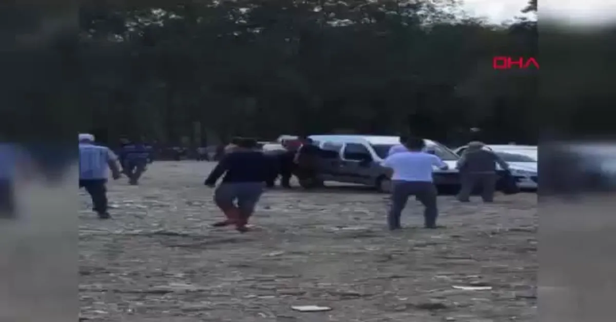 Samsun'da kaçan boğa çılgına döndü