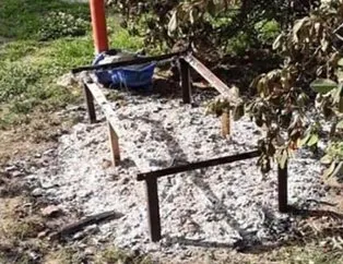 İzmir’de vahşet! Diri diri yaktılar...