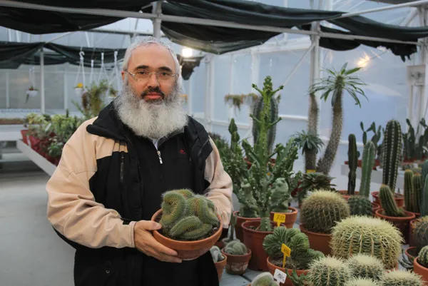 rizede-cay-bahcesini-sokunce-tepki-ceken-grubetci-vatandas-simdilerde-kaktus-taleplerine-yetisemiyor-1609139393028.jpg Koronavirüs salgınında kaktüs taleplerine yetişemiyor! Rizeli gurbetçi çay bahçesini söktü-7