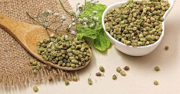 Aşk kokusu