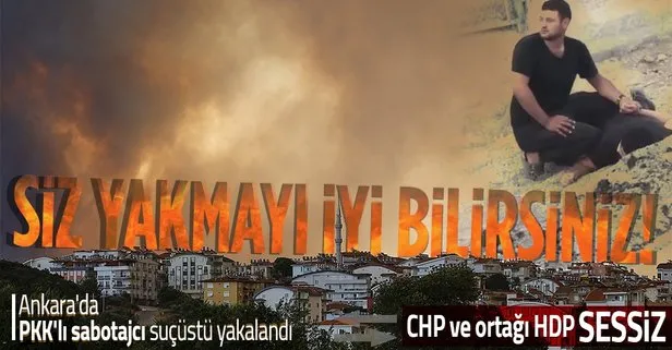 Manavgat, Adana, Mersin ve Osmaniye’deki Orman yangınları PKK’nın sabotajı mı? Dikkat çeken detaylar